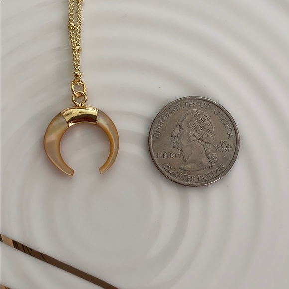 Crescent Carved Shell Choker - Picture 5 of 5